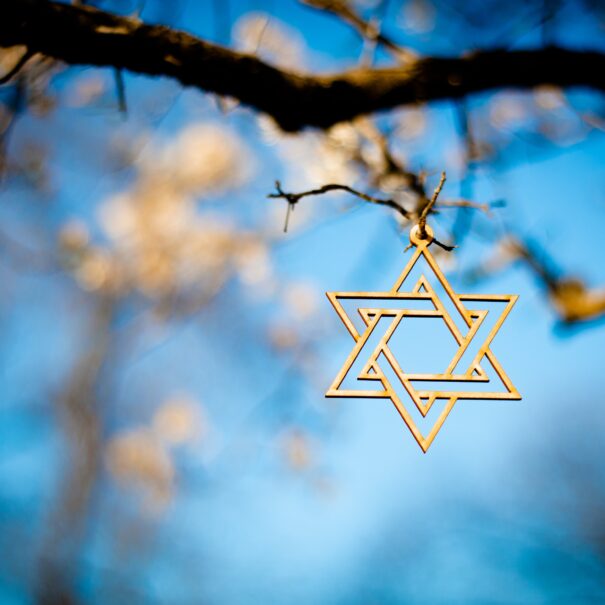 David Star on a tree Antwerp, Jewish Tour